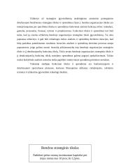 Strateginis planavimas 17 puslapis