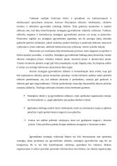 Strateginis planavimas 19 puslapis