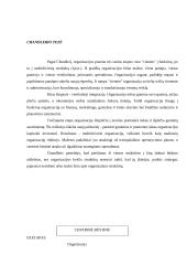 Strateginis planavimas 3 puslapis