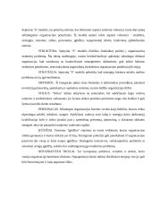 Strateginis planavimas 5 puslapis