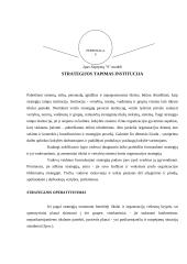 Strateginis planavimas 7 puslapis