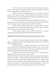 Strateginis planavimas 8 puslapis