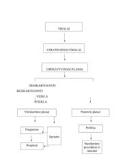 Strateginis planavimas 10 puslapis