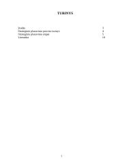 Strateginis planavimo proceso turinys ir etapai 2 puslapis