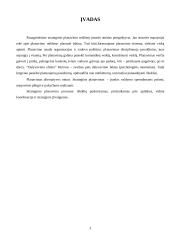 Strateginis planavimo proceso turinys ir etapai 3 puslapis