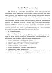 Strateginis planavimo proceso turinys ir etapai 4 puslapis