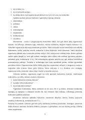 Strateginis planavimo proceso turinys ir etapai 6 puslapis