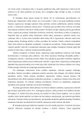 Strateginis planavimo proceso turinys ir etapai 8 puslapis