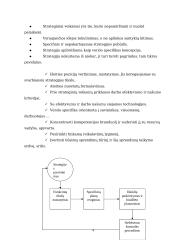 Strateginis planavimas įmonėje 4 puslapis