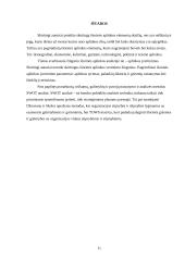 Strateginis planavimas: galimybių ir grėsmių suformavimas 11 puslapis