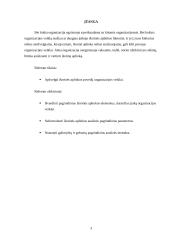 Strateginis planavimas: galimybių ir grėsmių suformavimas 3 puslapis