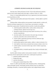 Strateginis planavimas: galimybių ir grėsmių suformavimas 4 puslapis