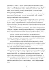 Strateginis planavimas: galimybių ir grėsmių suformavimas 5 puslapis