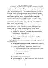 Strateginis planavimas: galimybių ir grėsmių suformavimas 7 puslapis