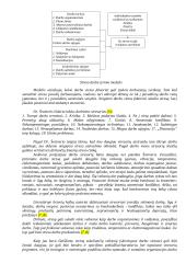 Streso valdymas. Stresas jūriniame darbe 8 puslapis