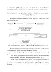 Suinteresuotųjų teorija. Teorijos taikymas Lietuvoje 11 puslapis
