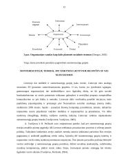 Suinteresuotųjų teorija. Teorijos taikymas Lietuvoje 13 puslapis