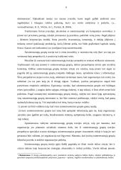 Suinteresuotųjų teorija. Teorijos taikymas Lietuvoje 6 puslapis