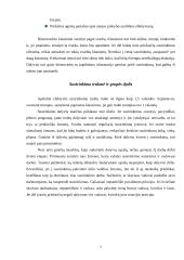 Susirinkimų ir konferencijų organizavimas 7 puslapis