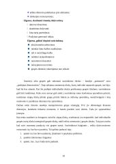 Susirinkimų ir konferencijų organizavimas 10 puslapis