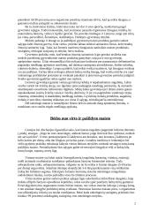 Dieta ir sveika mityba 2 puslapis