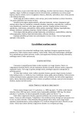 Dieta ir sveika mityba 3 puslapis