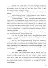 Šeimos sąvoka referatas 5 puslapis