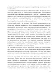 Šeimos formavimas: artimi ir tolimi giminystės ryšiai, papročiai, tautiniai skirtumai 12 puslapis