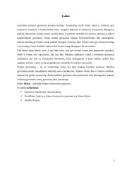 Šeimos formavimas: artimi ir tolimi giminystės ryšiai, papročiai, tautiniai skirtumai 2 puslapis