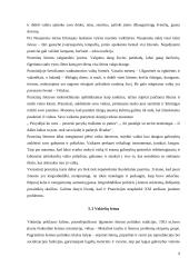 Šeimos formavimas: artimi ir tolimi giminystės ryšiai, papročiai, tautiniai skirtumai 8 puslapis