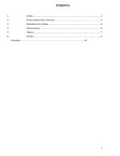 Šeimos planavimas 2 puslapis