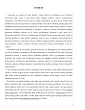 Šeimos planavimas 3 puslapis