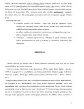 Šeimos planavimas 7 puslapis