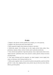 Šeimos tarpusavio santykių pokyčiai, šeimoje augant neįgaliam vaikui 14 puslapis