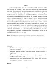 Šeimos tarpusavio santykių pokyčiai, šeimoje augant neįgaliam vaikui 2 puslapis