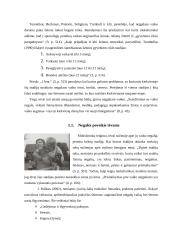 Šeimos tarpusavio santykių pokyčiai, šeimoje augant neįgaliam vaikui 5 puslapis