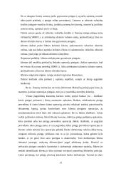 Šešėlinė ekonomika ir jos atsiradimo priežastys 13 puslapis