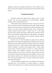 Šešėlinė ekonomika ir jos atsiradimo priežastys 14 puslapis