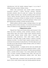 Šešėlinė ekonomika ir jos atsiradimo priežastys 3 puslapis