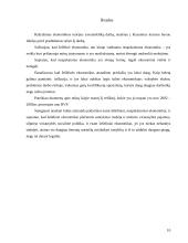 Šešėlinė ekonomika ir jos įtaka šalies ekonomikai 10 puslapis