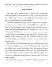 Šiaulių miestas 2 puslapis