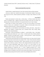 Šiaulių miestas 11 puslapis