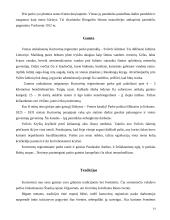 Šiaulių miestas 13 puslapis