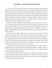 Šiaulių miestas 3 puslapis