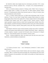 Šiaulių miestas 4 puslapis