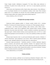 Šiaulių miestas 8 puslapis