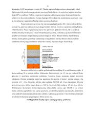 Šiukšlių rūšiavimas ir tvarkymas Šiaulių regione 15 puslapis