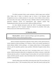 Šiukšlių rūšiavimas ir tvarkymas Šiaulių regione 19 puslapis