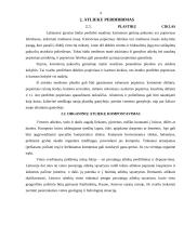 Šiukšlių rūšiavimas ir tvarkymas Šiaulių regione 4 puslapis