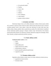 Šiukšlių rūšiavimas ir tvarkymas Šiaulių regione 10 puslapis